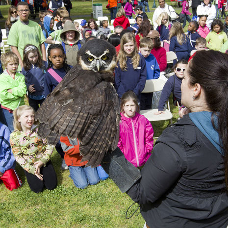EarthFest 2014 highlights environmental action, sustaining our communities