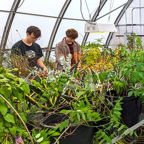 Temple students prepare plants for the 2024 Philadelphia Flower Show