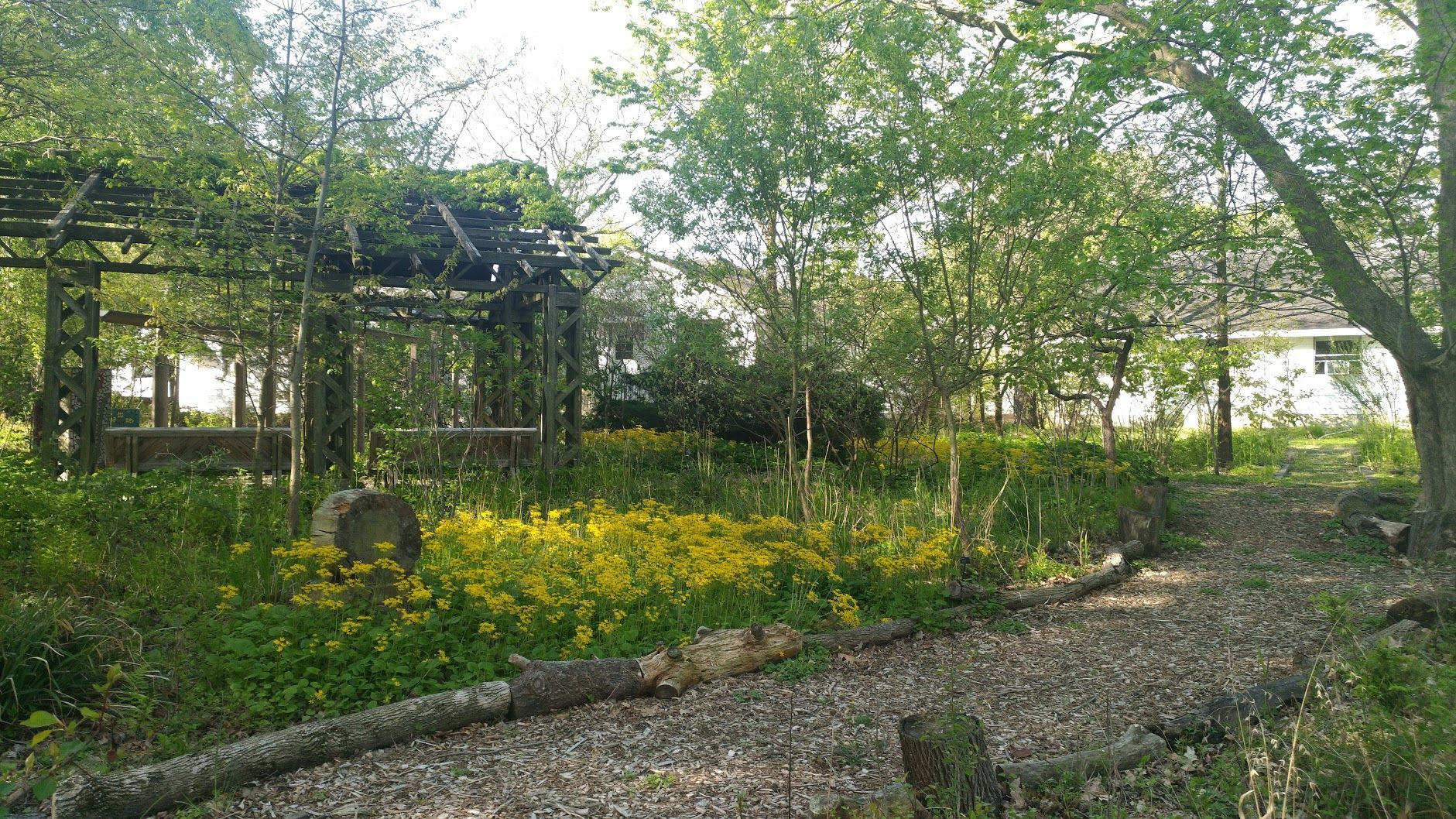 Sustainable Wetland Garden