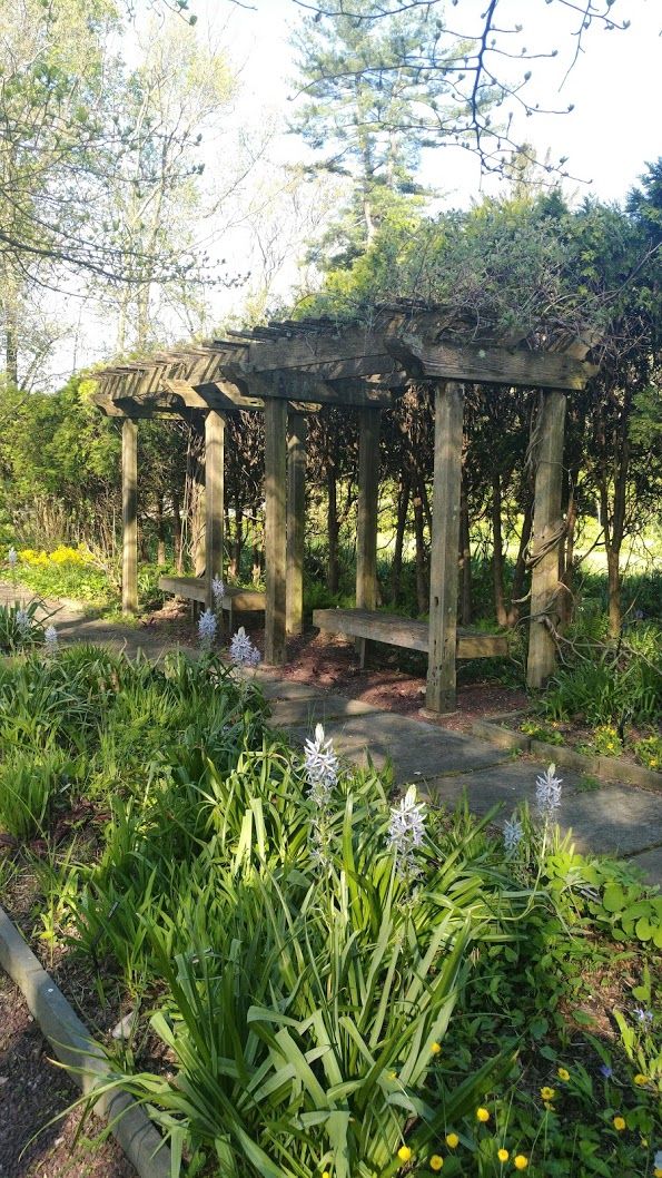 Formal Native Plant Garden