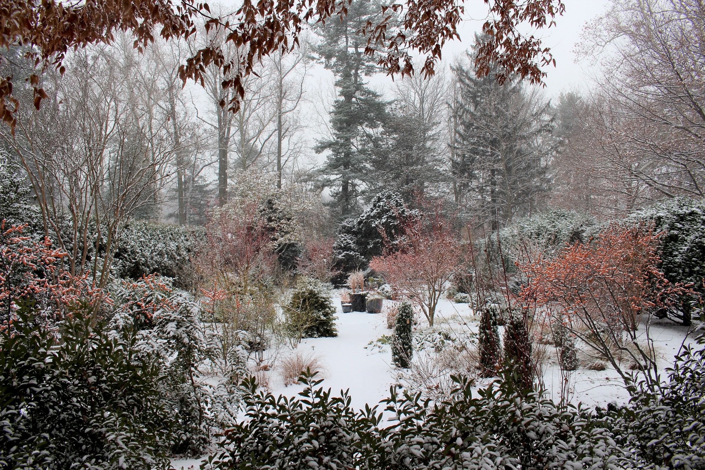 Barbara F. and Philip R. Albright Winter Garden