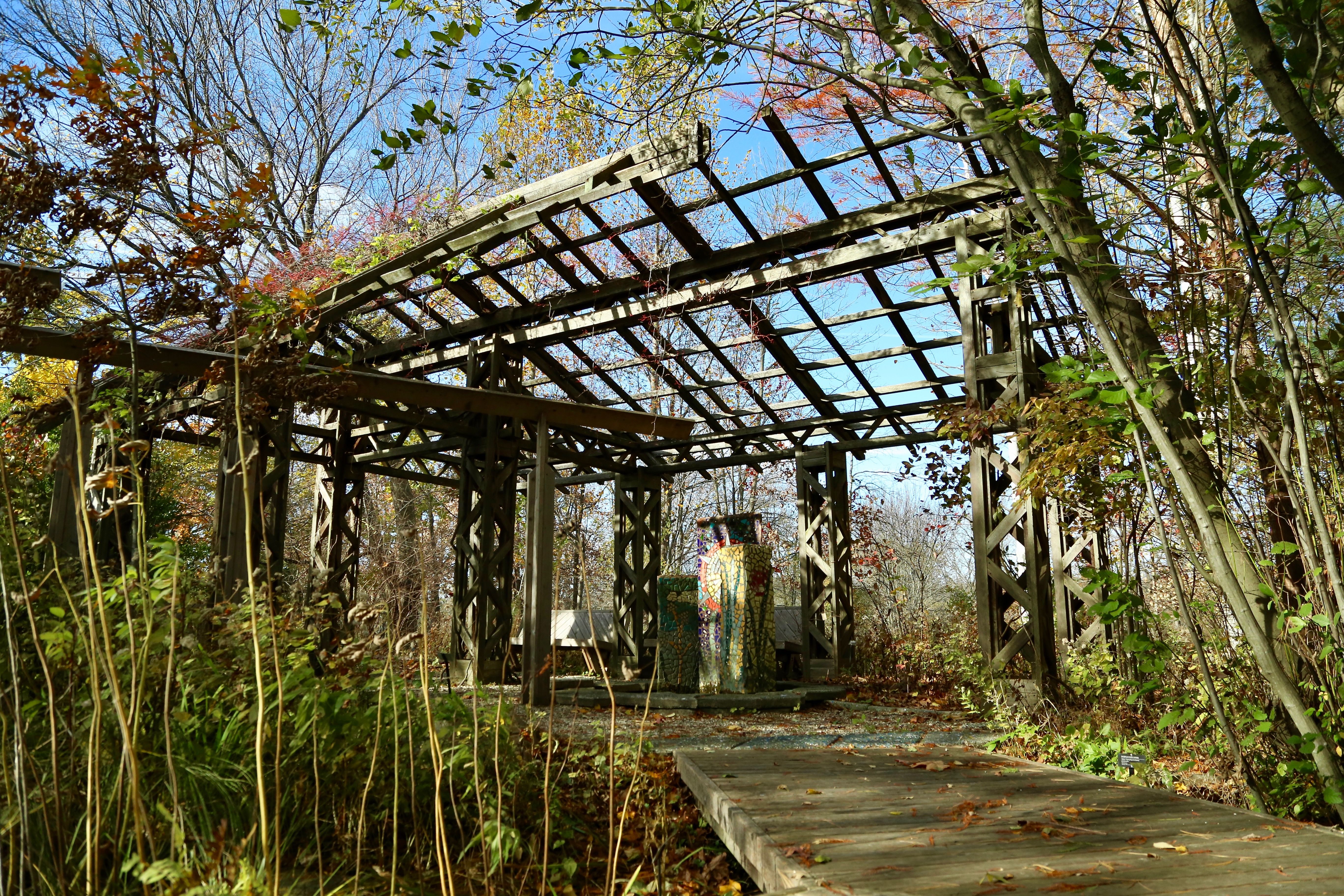 Sustainable Wetland Garden