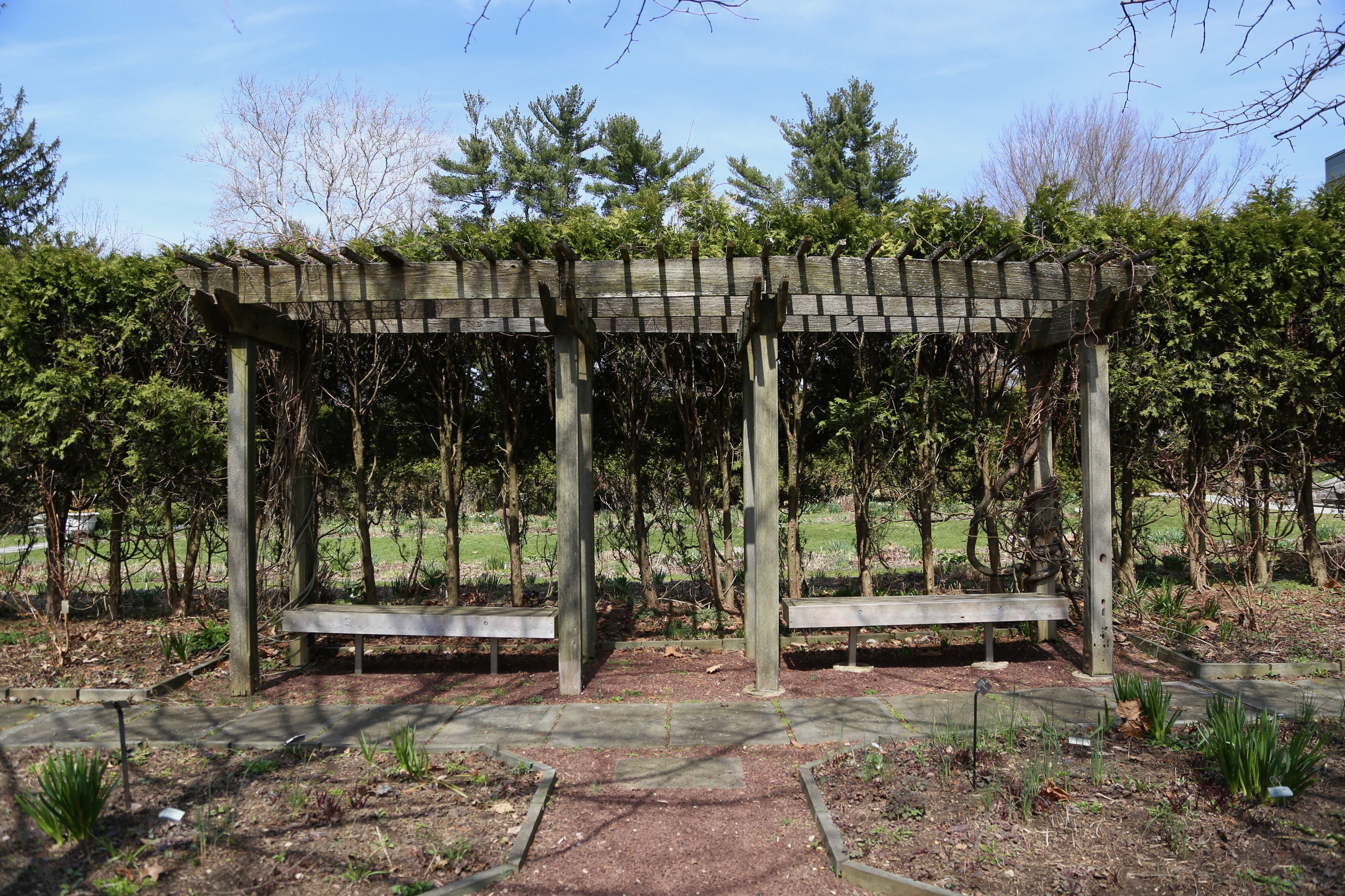 Formal Native Plant Garden