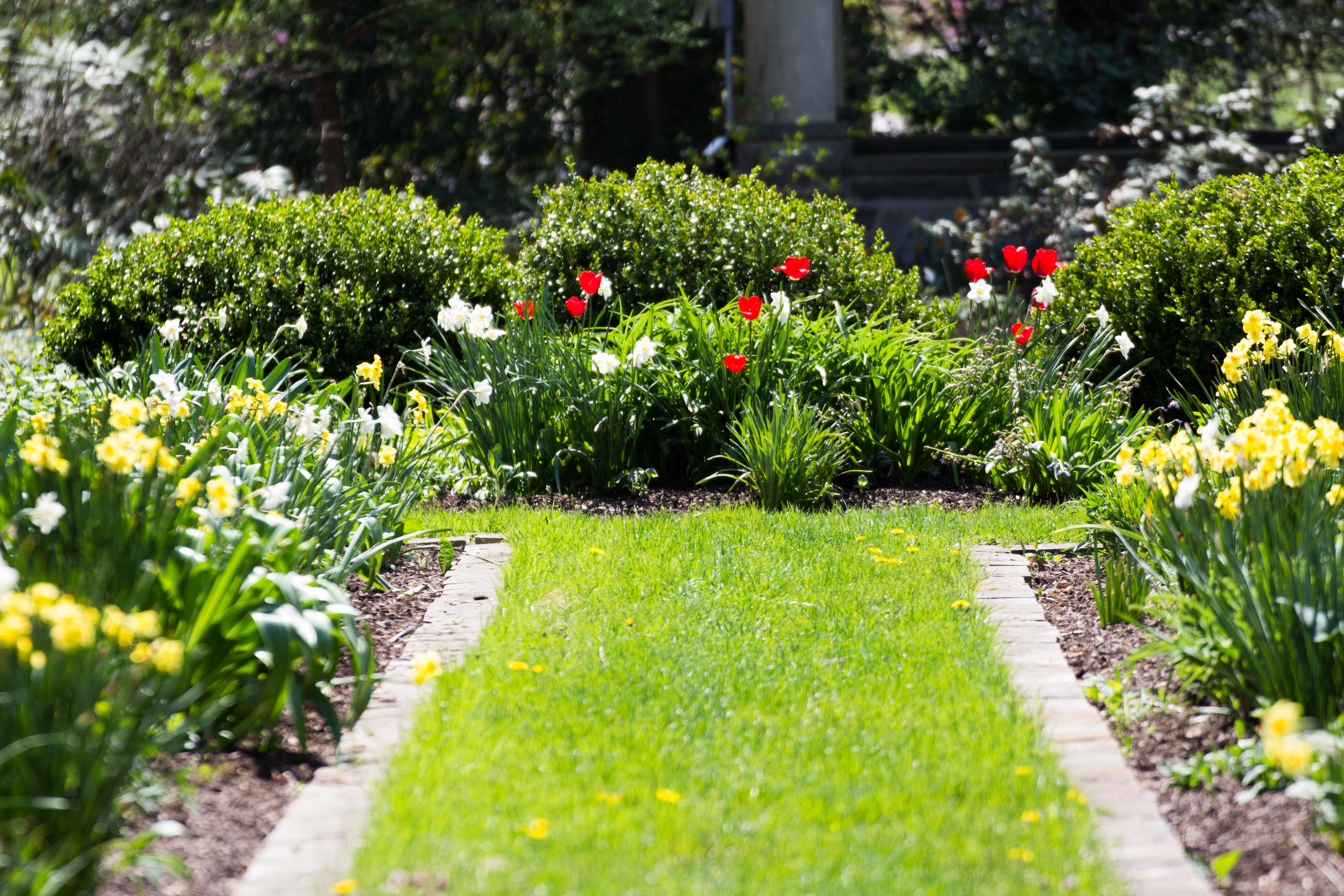 Louise Bush-Brown Formal Perennial Garden