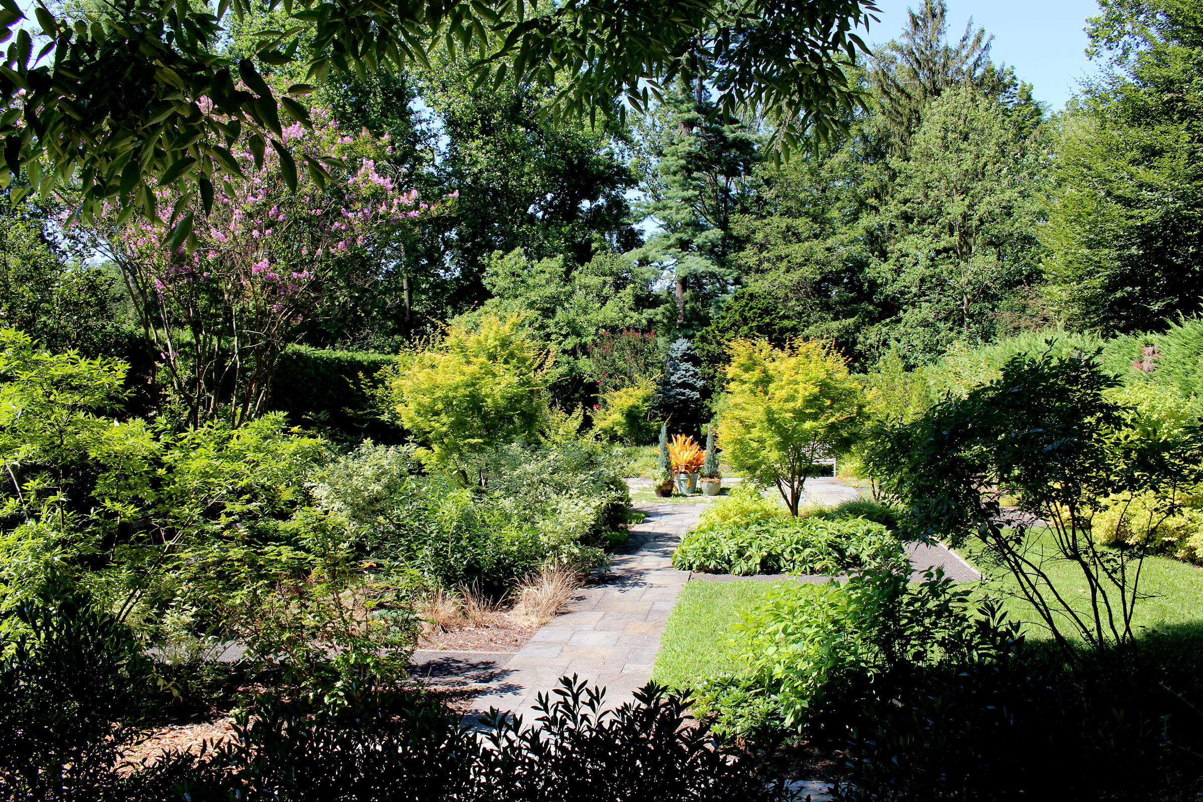 Barbara F. and Philip R. Albright Winter Garden