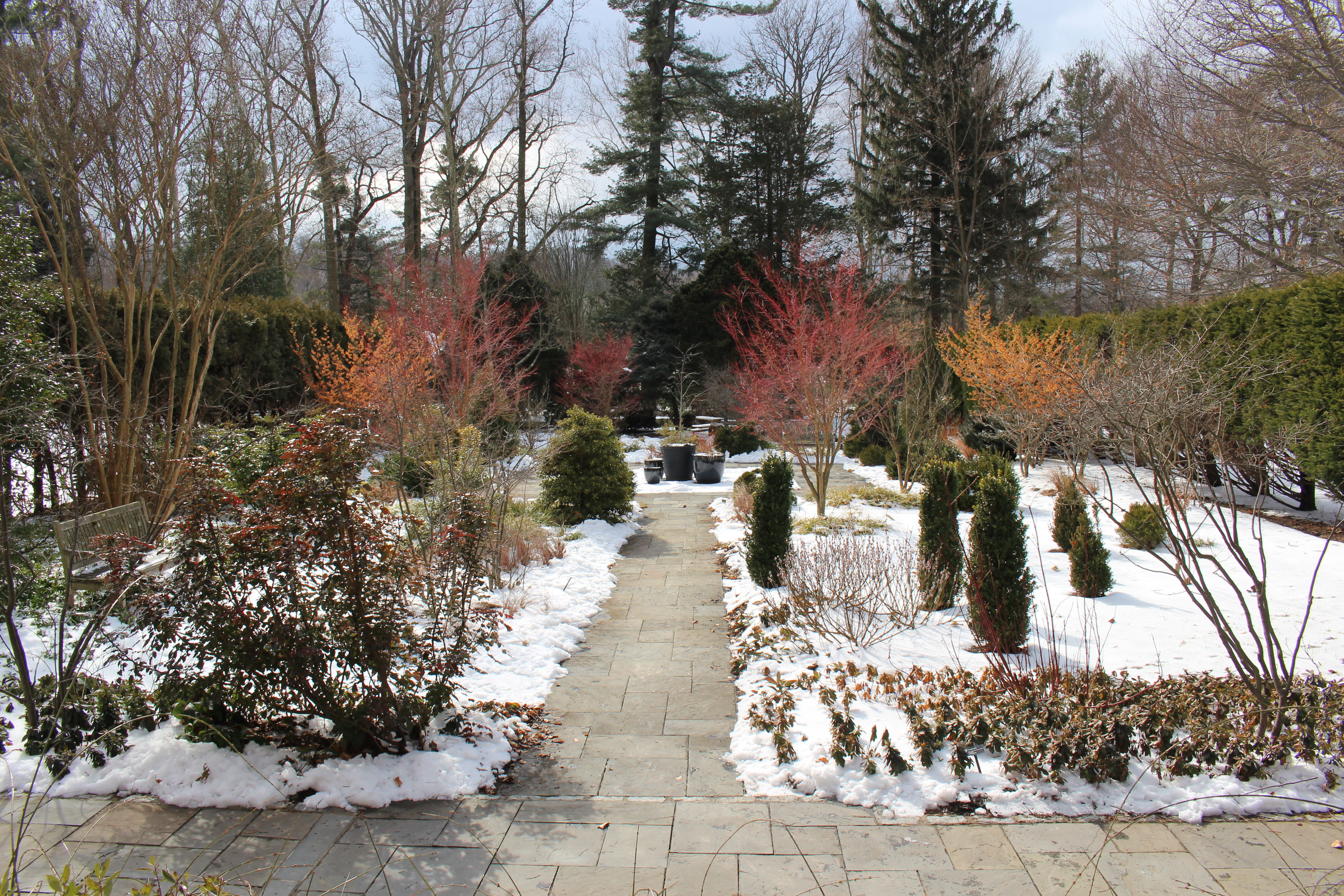 Barbara F. and Philip R. Albright Winter Garden
