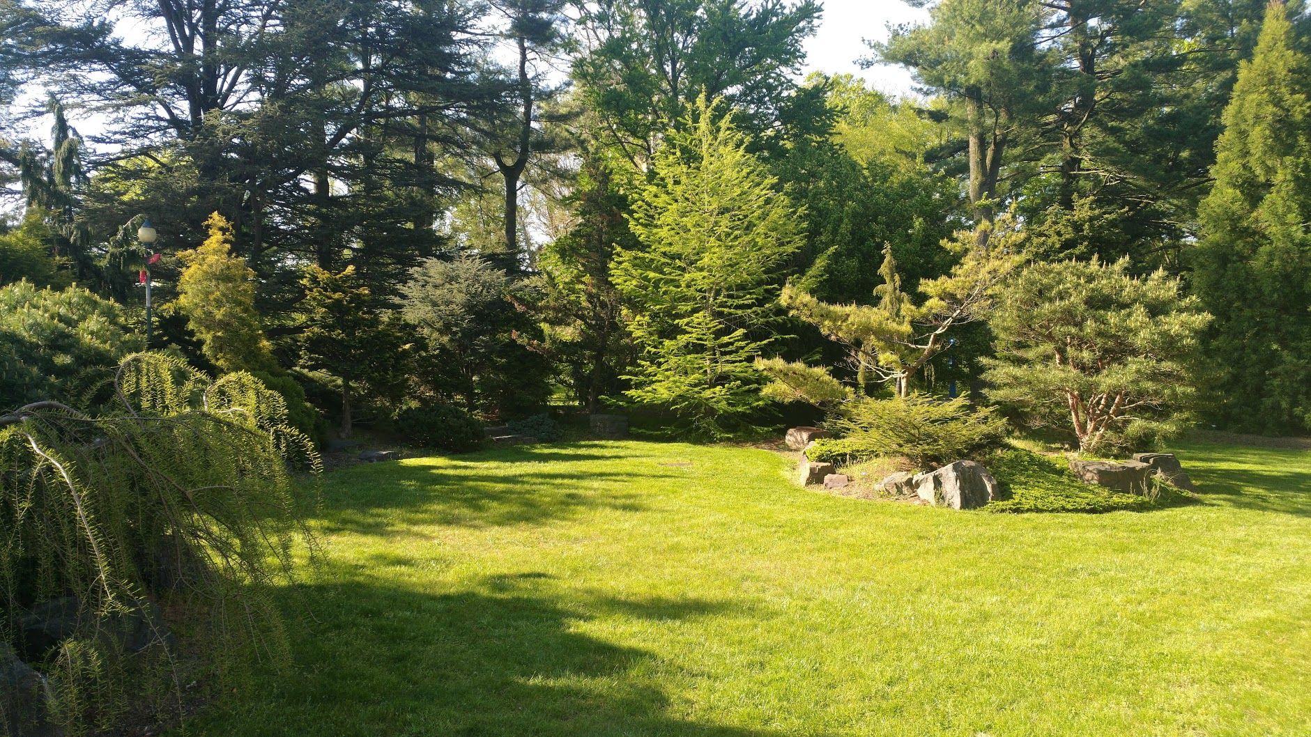 Colibraro Conifer Garden