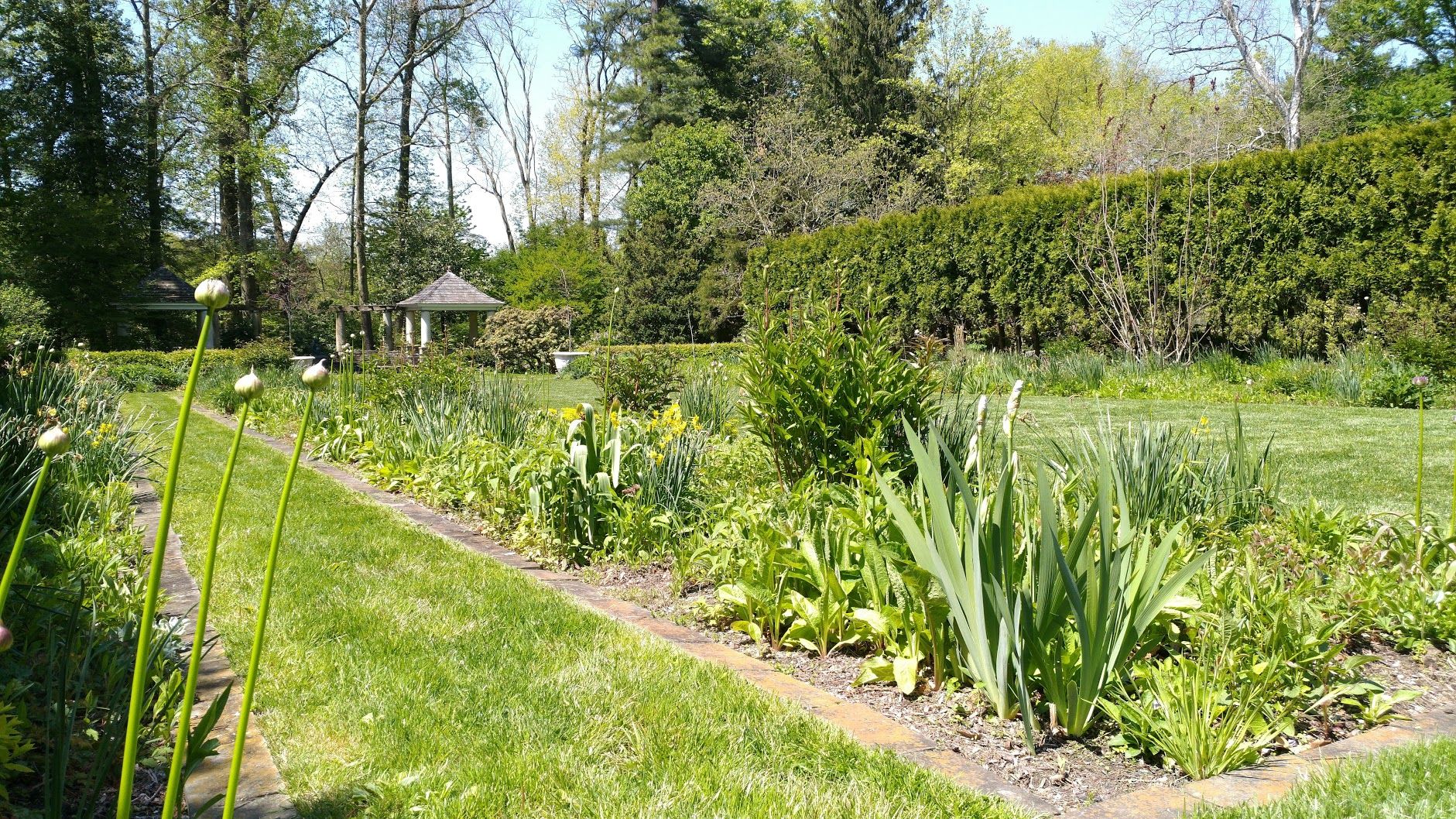 Louise Bush-Brown Formal Perennial Garden