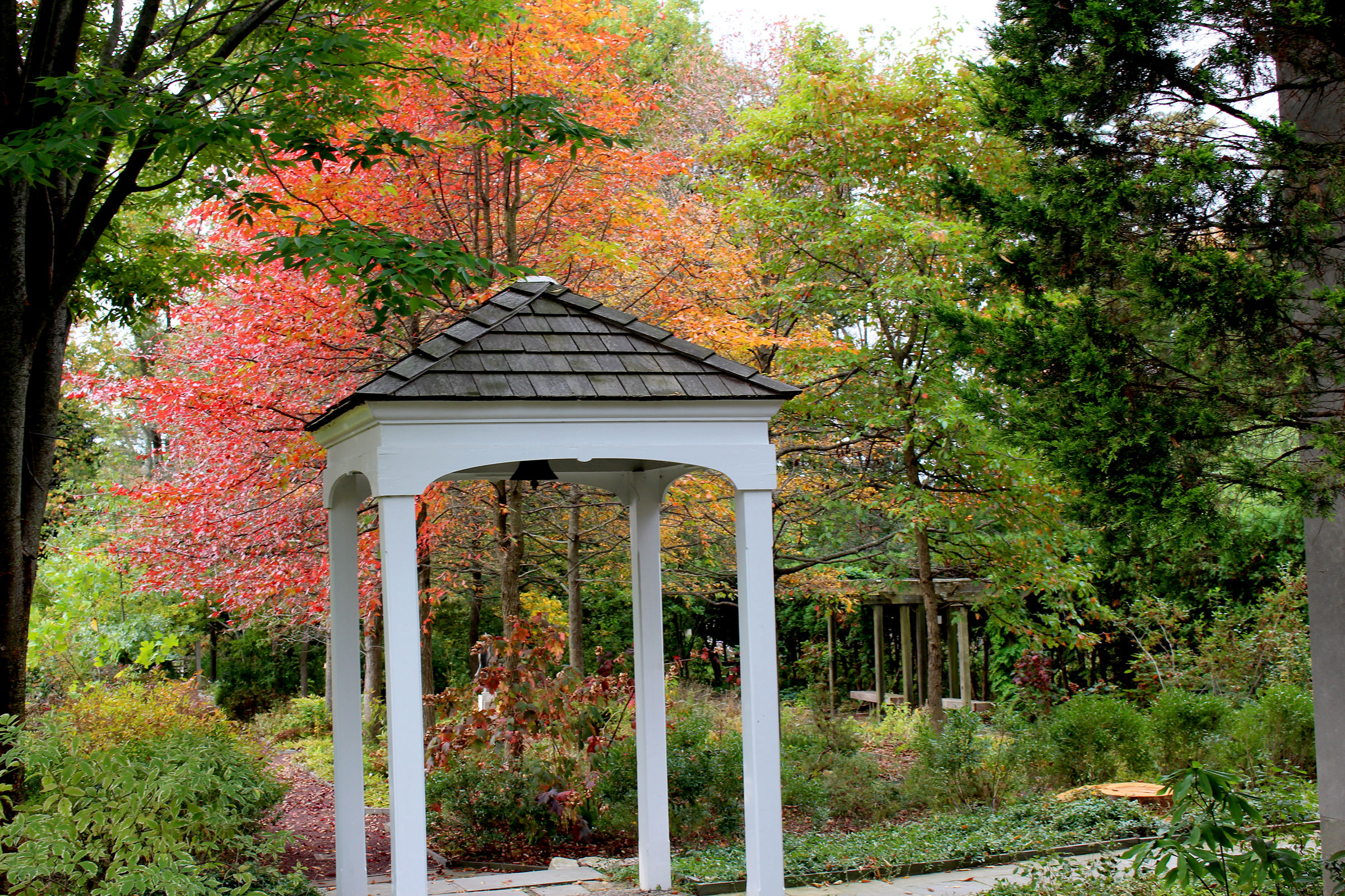 Formal Native Plant Garden