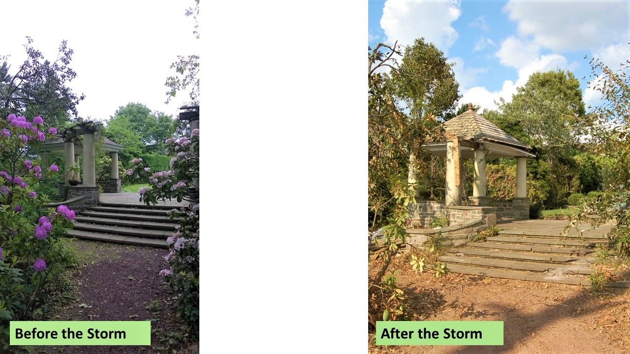 Temple University Ambler - Before the Storm, After and Today