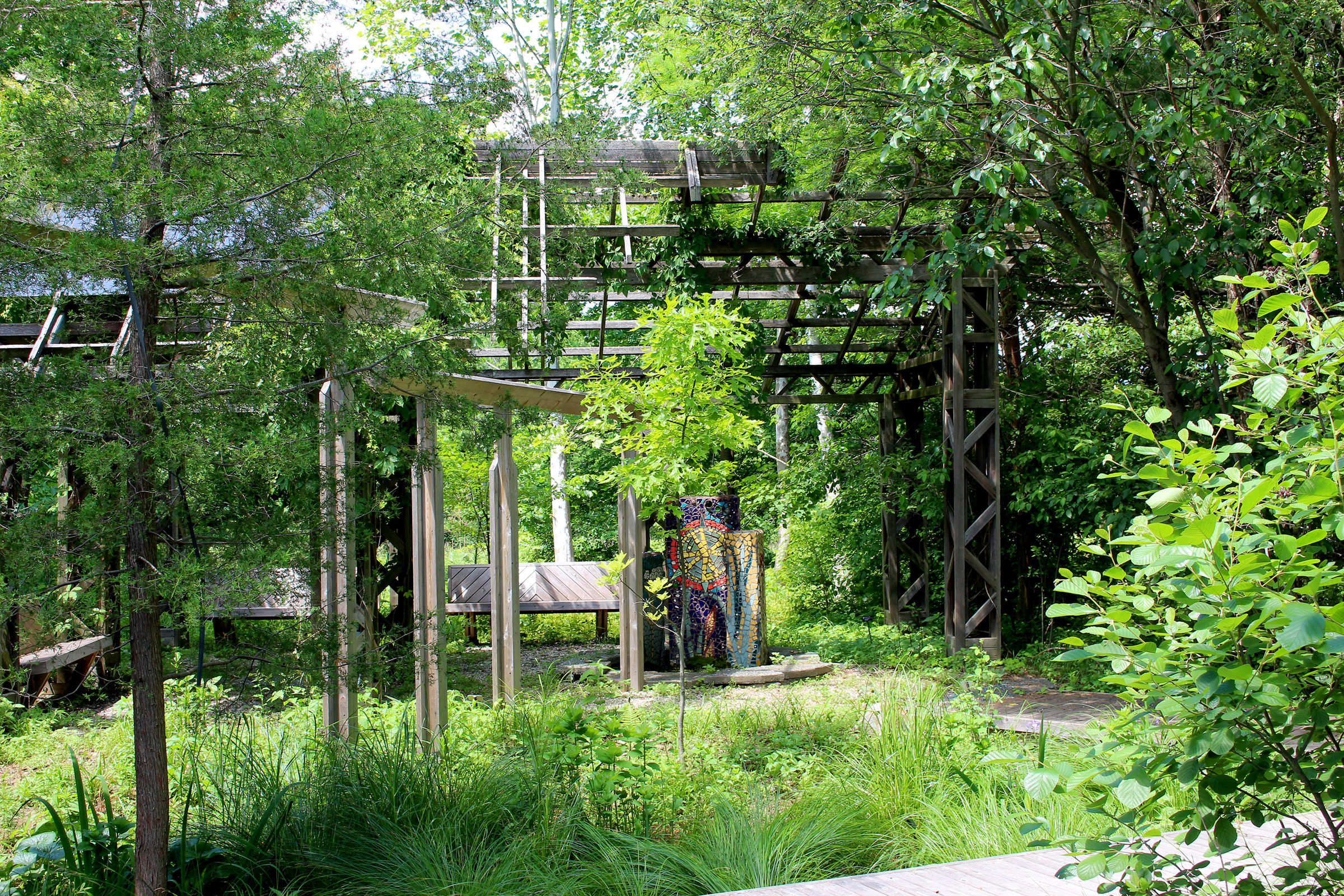 Sustainable Wetland Garden