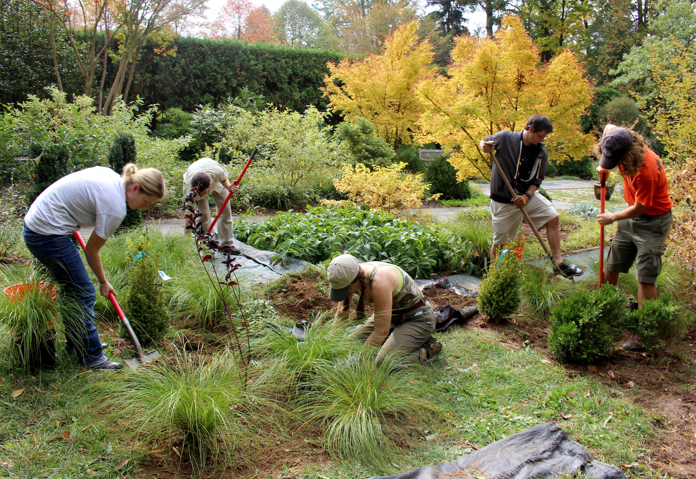 Barbara F. and Philip R. Albright Winter Garden