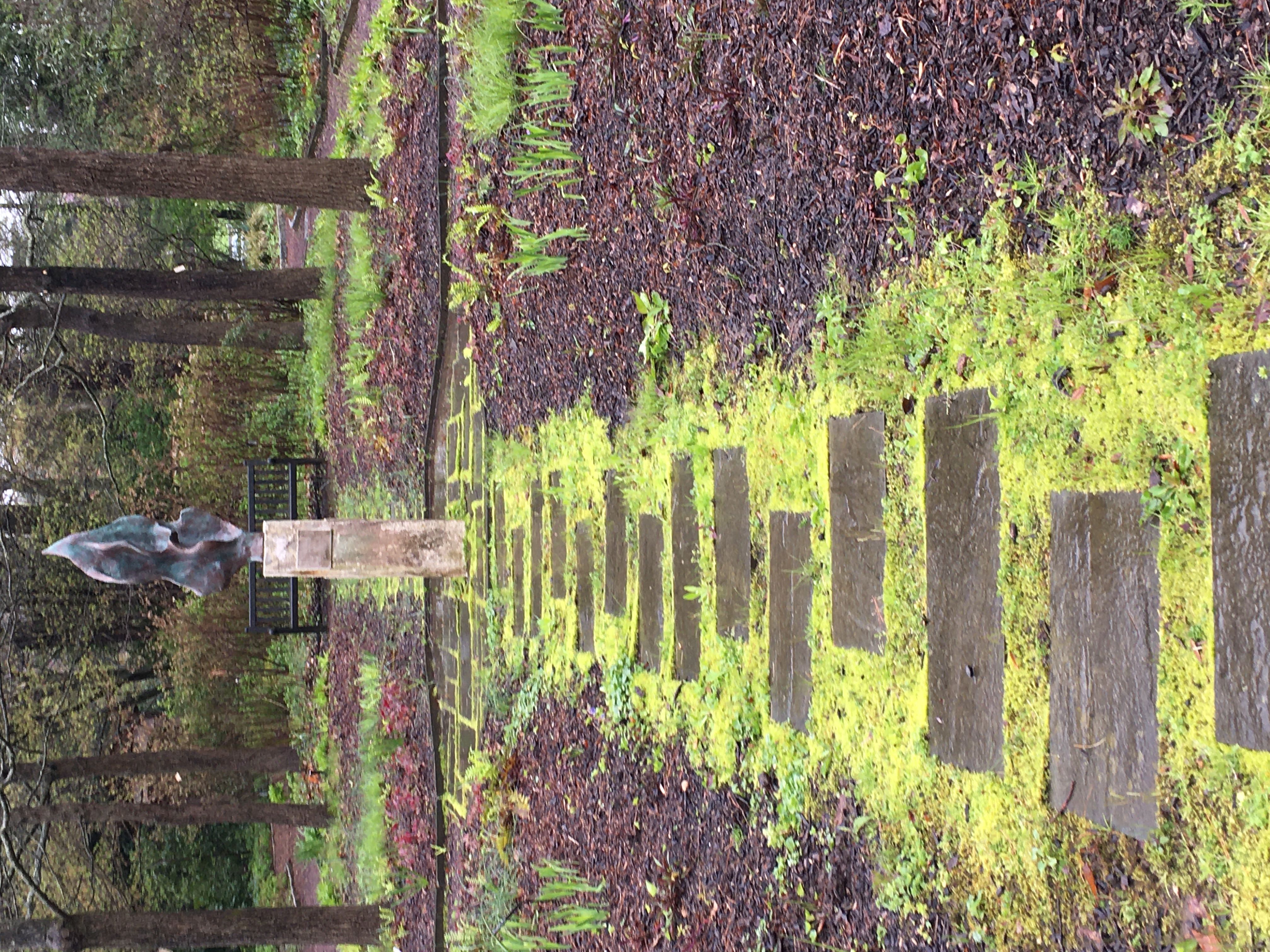 Formal Native Plant Garden