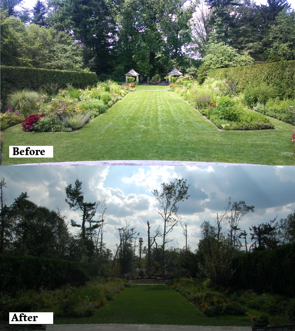 The Formal Perennial Garden and Woodland Garden.