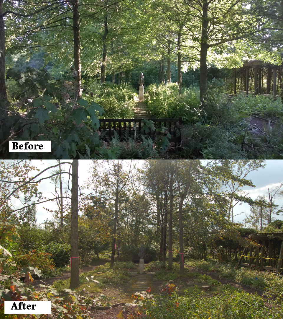 The Native Plant Garden in the Ambler Arboretum.