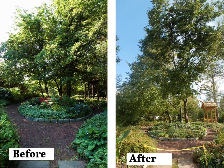 The Groundcover Garden, located near the Native Plant Garden