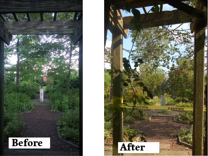 Looking out onto the Native Plant Garden.