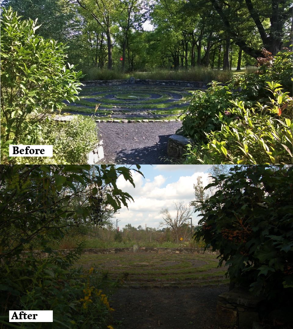 The Ernesta Ballard Healing Garden.