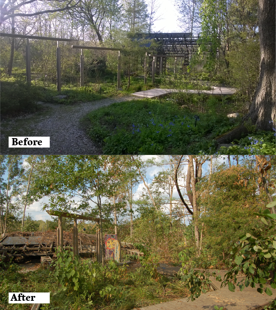 A before and after view of the Sustainable Wetland Garden.