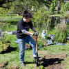 a volunteer working in the garden