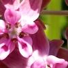 20180619_153530.jpg