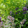 2022-Flower-Show-Day-1-10.JPG