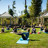 Students doing Yoga in the formal gardens