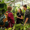 Students in the Greenhouse