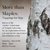 More than Maples