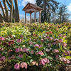 Arboretum Horticulture Hike