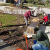 Volunteers in the garden