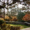 The Louise Stein Fisher Garden in autumn 
