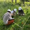 Three students wearing white hard hats crouch over a square grass plot marked with meter sticks in a forest. The forest floor is covered in green, grassy understory, with a few small trees and sunlit taller vegetation in the background.