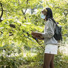 Researchers in the forrest