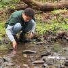 A student crouches beside a rocky stream, with bright green plants growing along the bank and a decaying fallen log in the background.