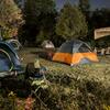 Tents set up in front of trees in the arboretum