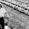 Plow.jpg