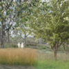 another resliant garden rendering