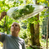 A person stands in a lush green forest as sunlight filters through the canopy, illuminating the leaves with a bright green glow. They look up at a tree branch enclosed in a clear plastic bag, carefully examining it. Water droplets have collected at the bottom of the bag, noticeable as the sun shines through. 