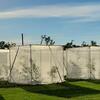 A long row of tall, cube-shaped white mesh enclosures are spaced out across a neatly mowed green field beneath a bright blue sky with wispy clouds. Each enclosure is supported by a dark metal frame and contains leafy plants or small trees visible through the translucent mesh walls. Sunlight illuminates the structures, casting soft shadows on the grass. A line of mature trees borders the field in the background. 