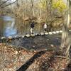 Stepping Stone Crossings