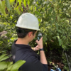 A person wearing a white hard hat kneels on the forest floor, surrounded by dense foliage. They are using their phone to take a photograph of a plant for identification.