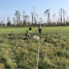 Two people stand in an open field of tall grass. One holds a bug-catching net close to the ground, while the other holds a rope in a straight line down the center of the photo, creating a transect. In the background, a mowed field borders a sparse forest under a clear blue sky.