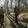 researchers walking on the woodland trails