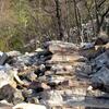 Standing Stone Trail