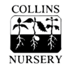 collins nursery logo