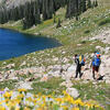 Hiking through the wilderness