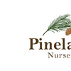 Pinelands Nursery logo