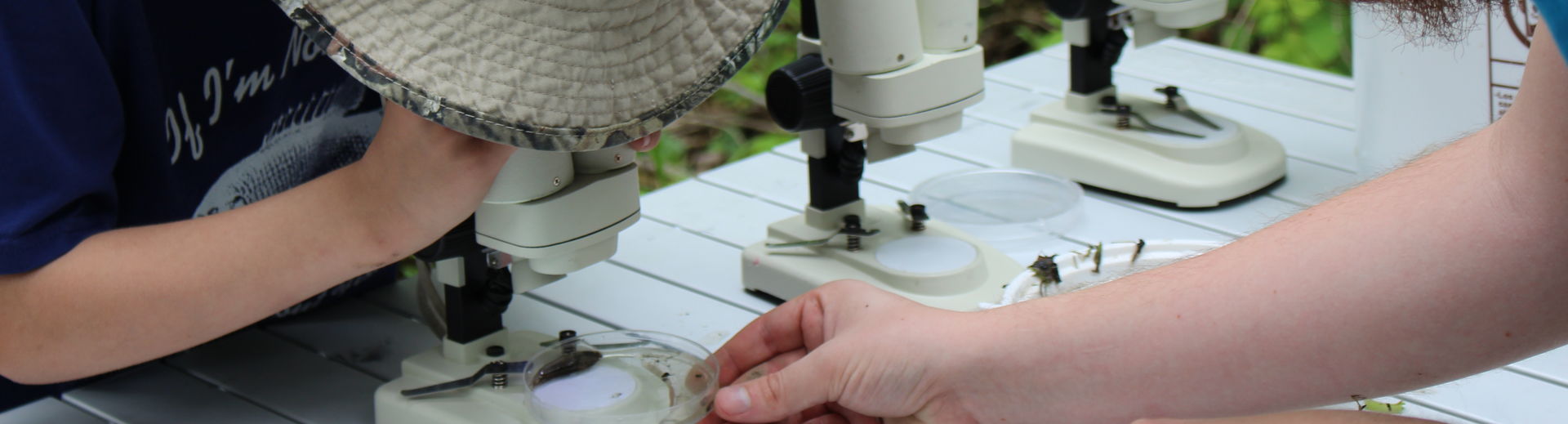 kids doing citizen science with microscopes