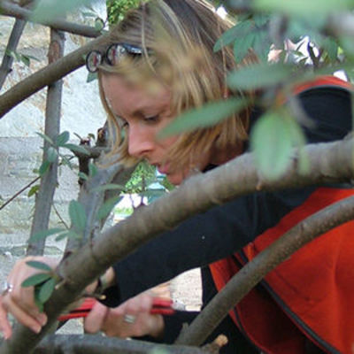 Pruning for Professionals